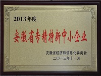 2013年安徽省專精特新中小企業(yè)